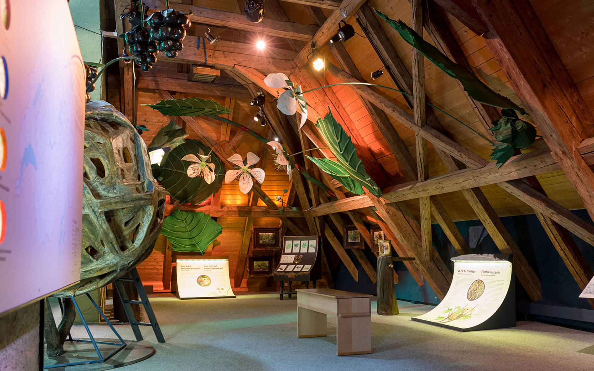 Ausstellung in Champ-Pittet © Raphael_Dupertuis