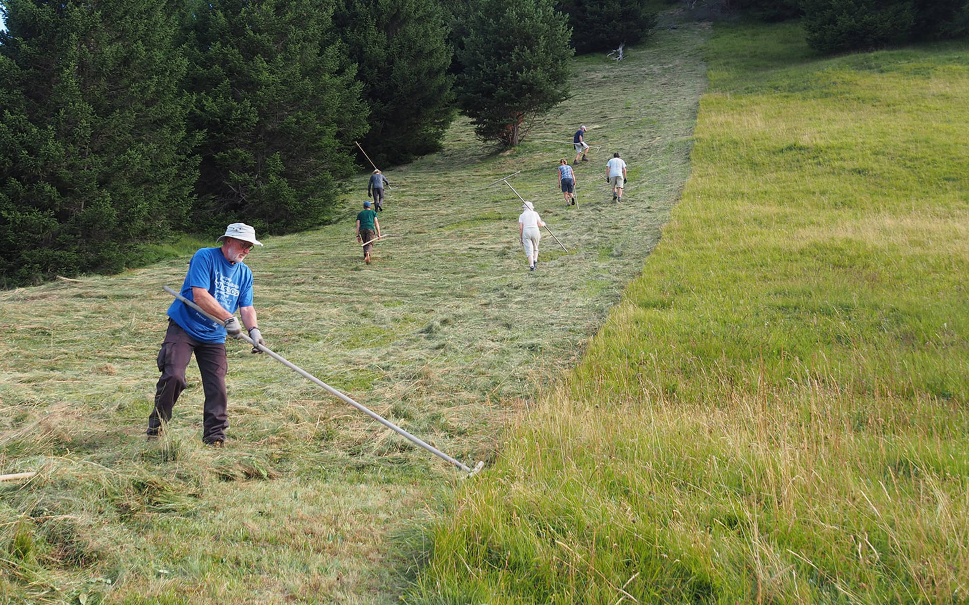 Freiwillige bei der Arbeit © Stiftung Umwelteinsatz