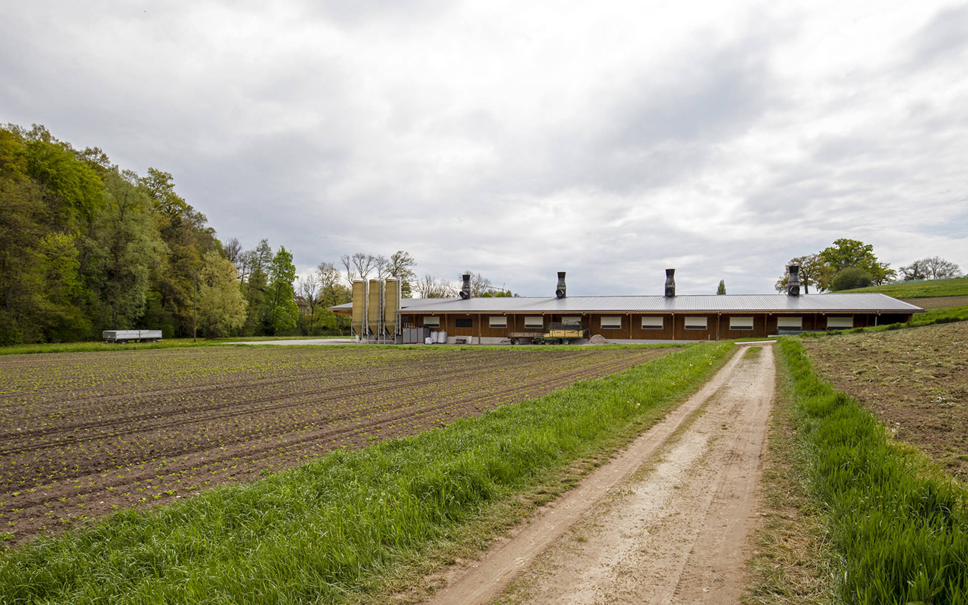 Hangar à volailles sur une surface agricole dans le canton de Fribourg. Conforme ou non à la zone? © Matthias Sorg