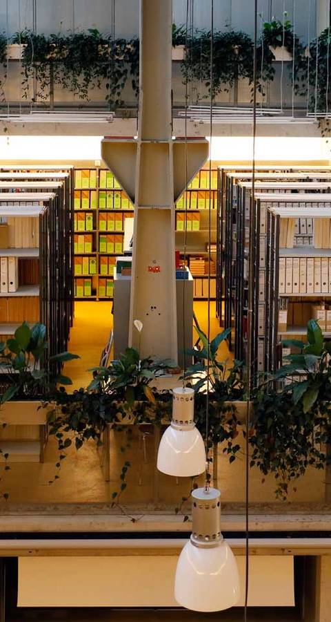 Bibliothek bei Pro Natura