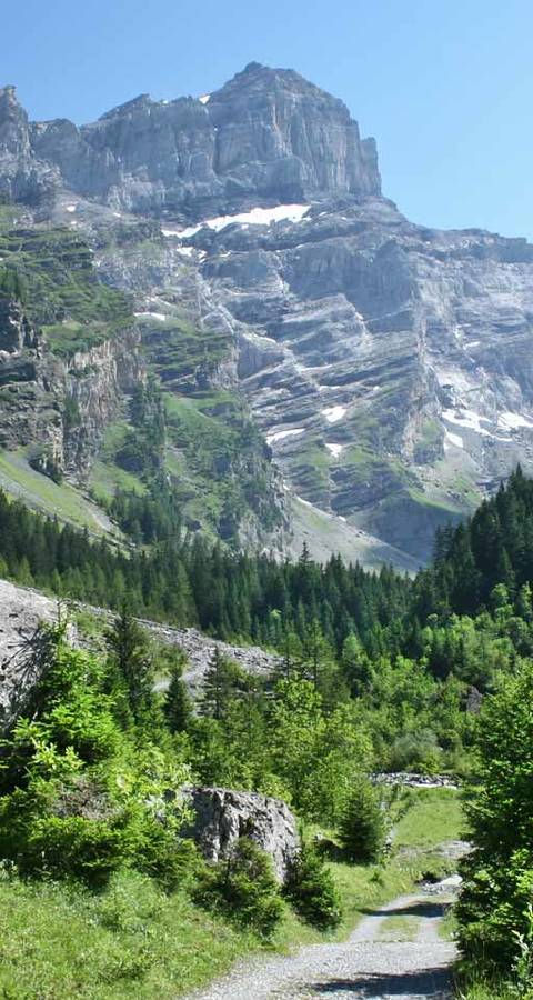 Vallon de Nant