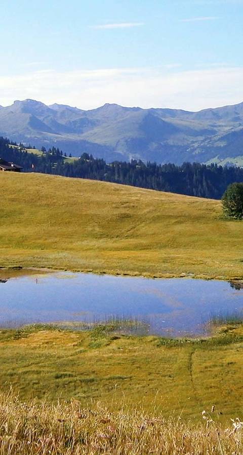 Stelsersee in Geländemulde @ Pro Natura Graubünden
