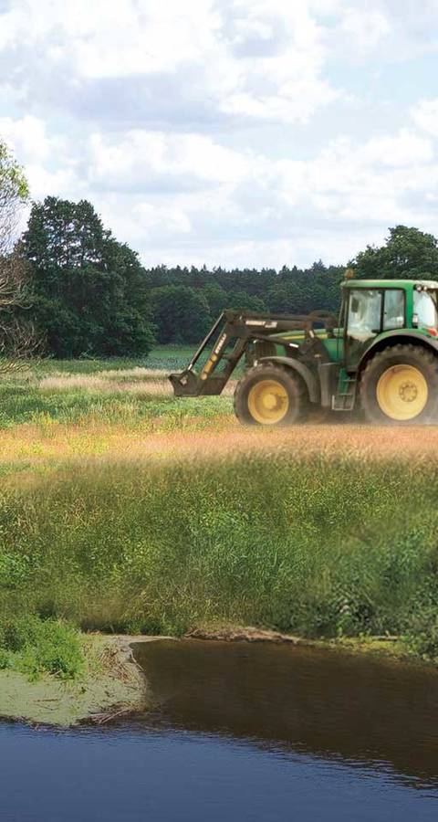 Glyphosatbehandeltes Feld im Frühjahr