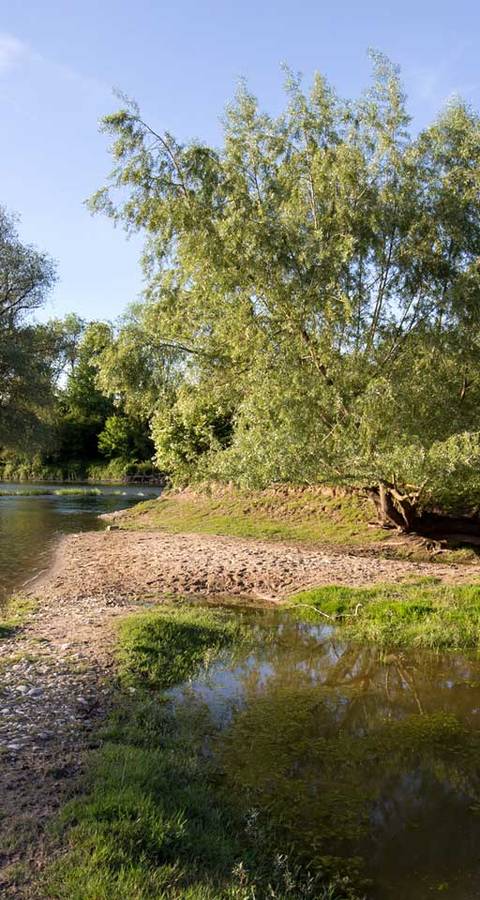 Naturschutzgebiet Limmatspitz (AG)
