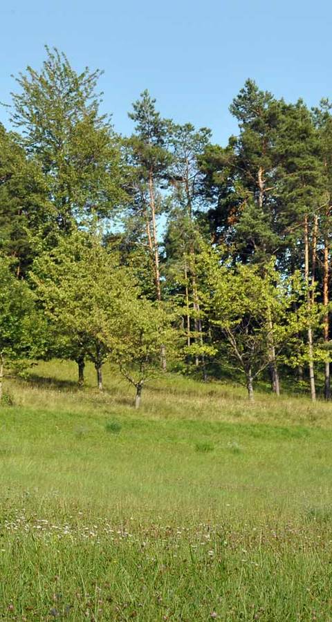Nättenberg