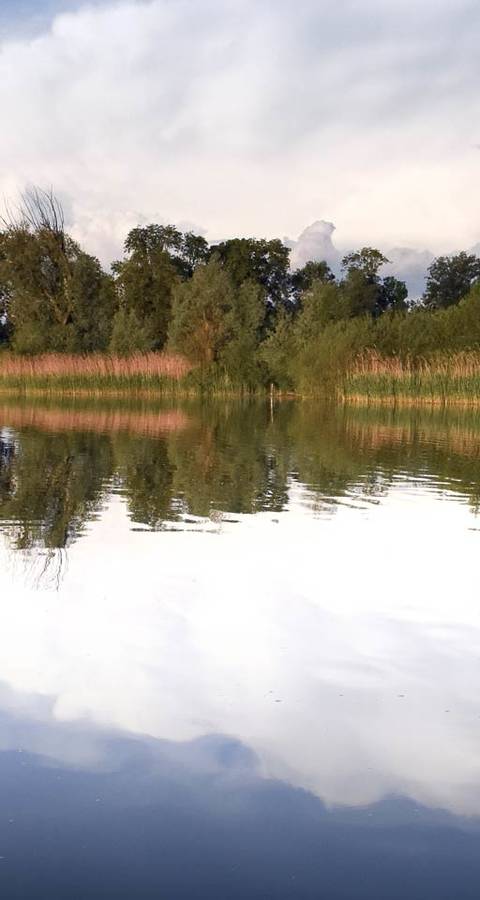Baldeggersee