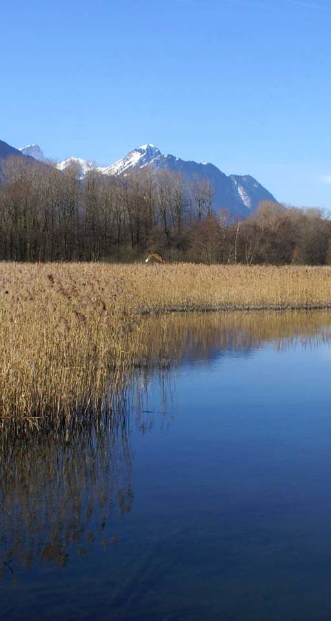 Les Grangettes