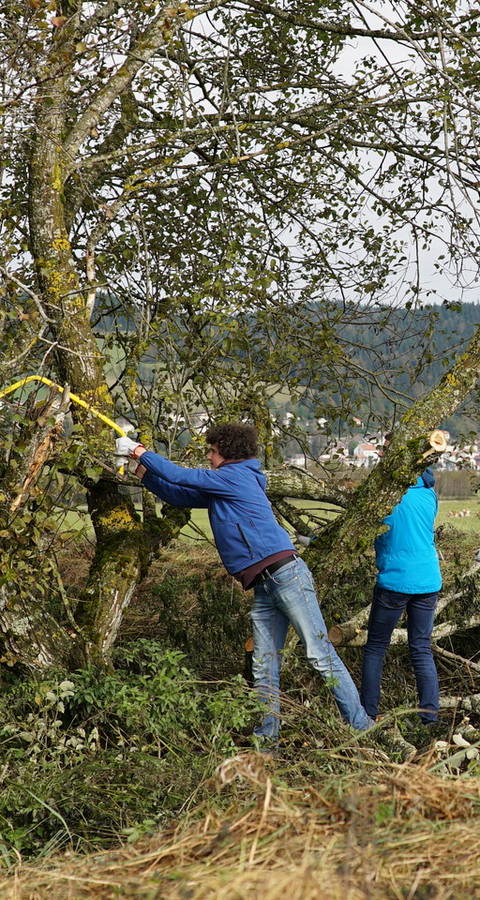 Eine Gruppe Jugendlicher bei einem Arbeitseinsatz bei einer Hecke