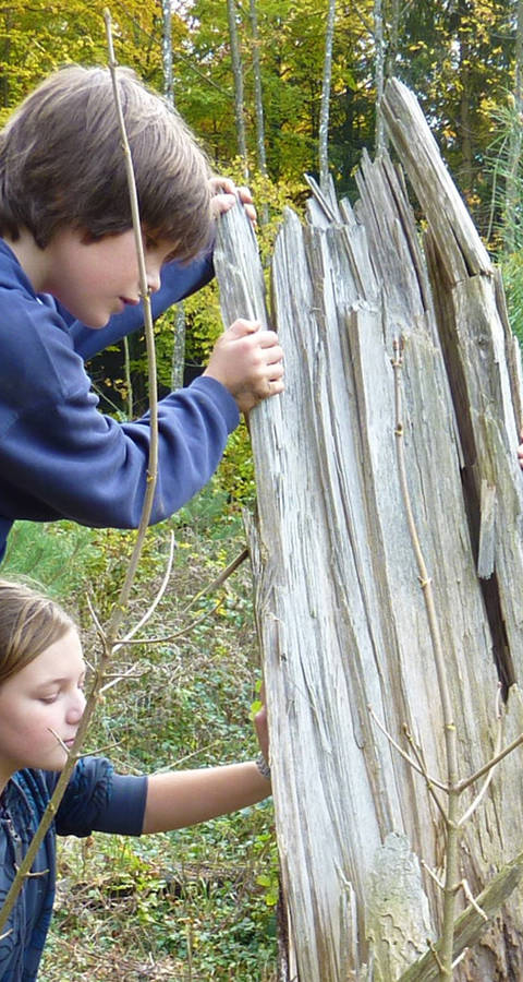 Drei Kinder spielen um einen Baumstamm