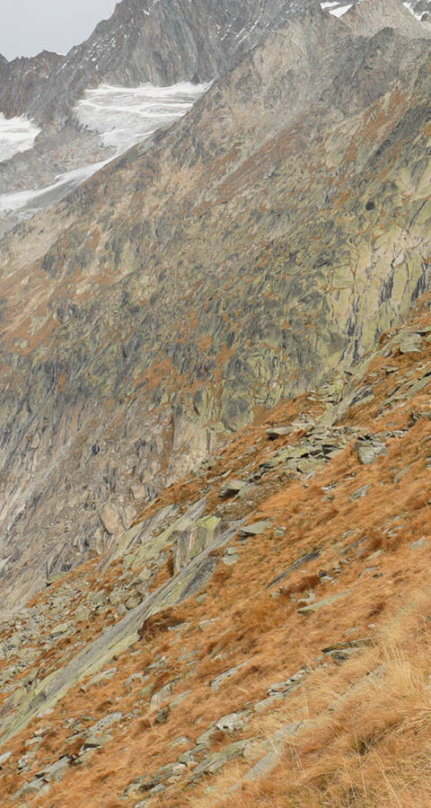 Biker oberhalb Aletschgletscher - muss das sein