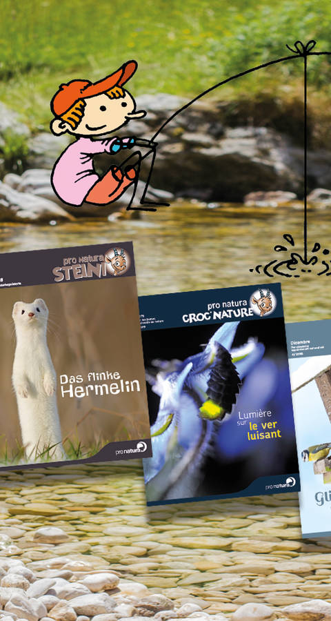 Kindermagazin Steini