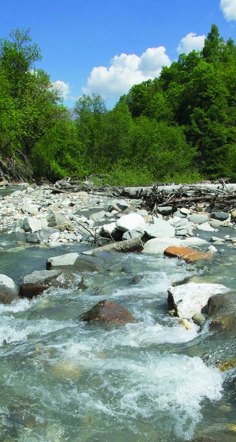 Weniger Pestizide für gutes Trinkwasser – das fordert die Trinkwasserinitiative