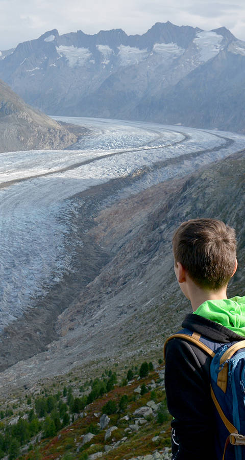 Gruppe blickt auf den Aletschgletscher