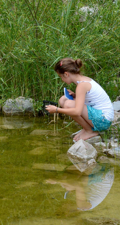 Une fille observe des insectes dans un étang @ Thomas Flory