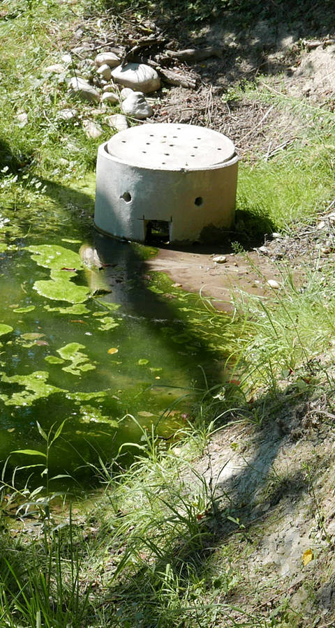 Ein neu erstellter Tümpel sammelt das Quellwasser der beiden Quellen. Der Überlauf des Tümpels befindet sich im Schacht.