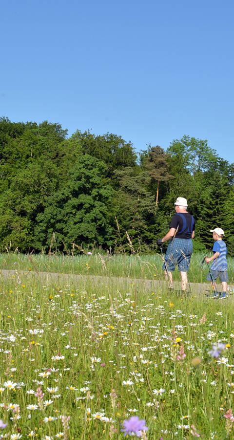 Wiesentouren Baselland