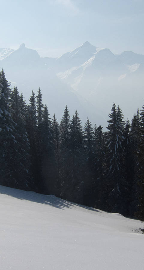 Alpen