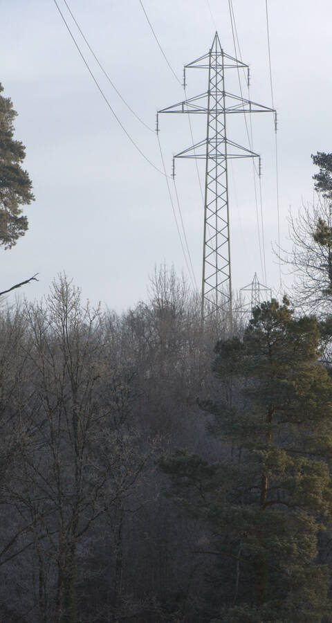 Stromtrasse überzogen mit Raureif