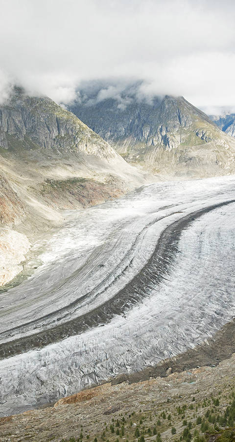 Aletschgletscher