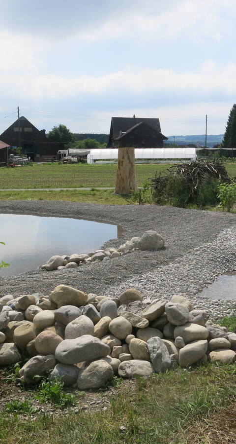 Weiher Friesencham