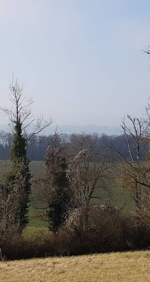 Strukturreiche Landschaft in Berikon