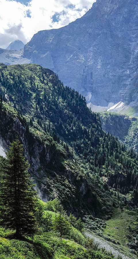Chutes de Schmadri dans la vallée de Hinteren Lauterbrunntal