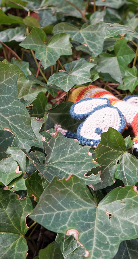 Frühjahrsflügler Insektenwettbewerb