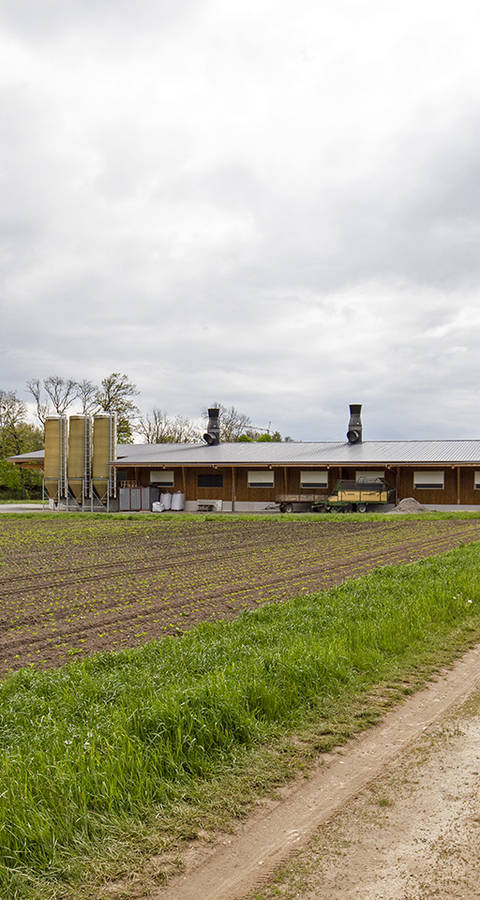 Geflügelhalle auf Landwirtschaftsfläche im Kanton Fribourg. Zonenkonform oder nicht?