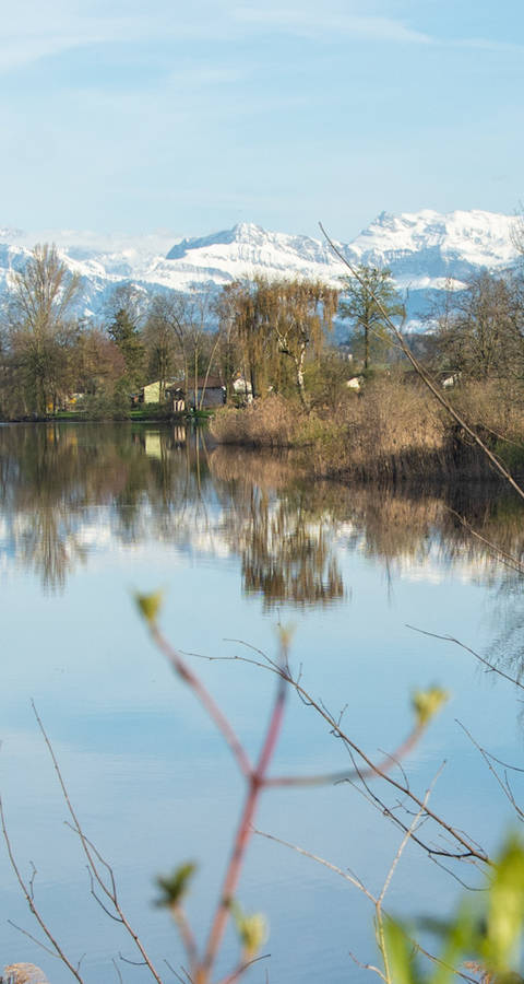 Baldeggersee