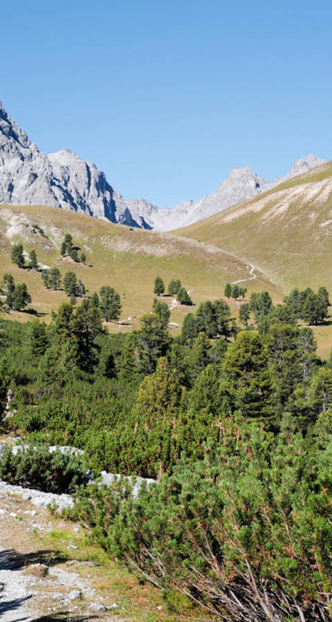 Schweizer Nationalpark