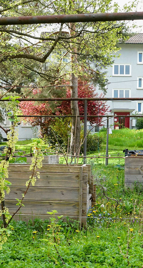 Natur im Siedlungsraum