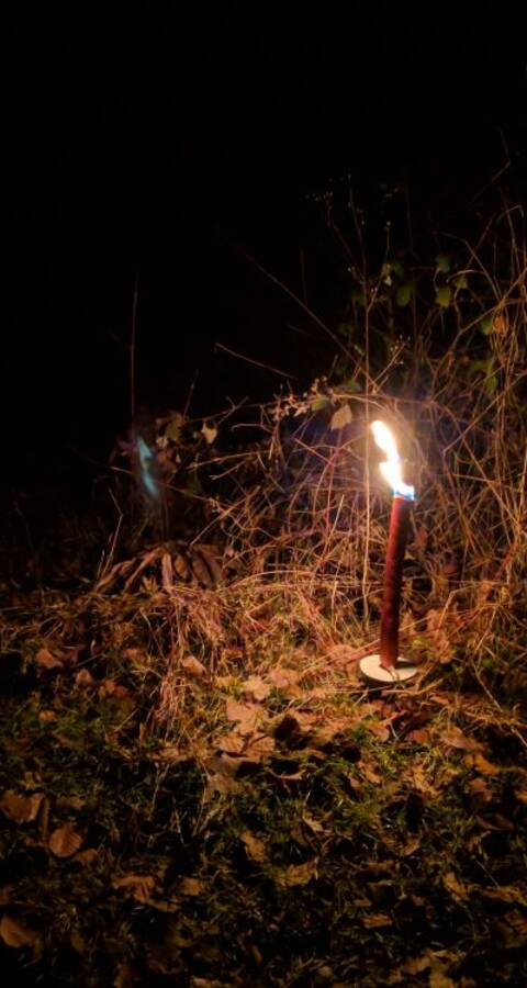 Fakel im Wald