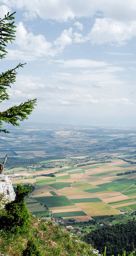 Symbolbild für Raumplanung - Blick von einem Hügel aus auf die Landschaft mit ihren bewirtschafteten Felder.