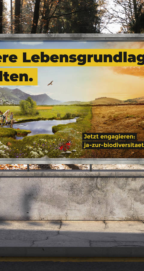 Banner Biodiversitätsinitiative