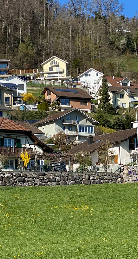 Hüsliischweiz