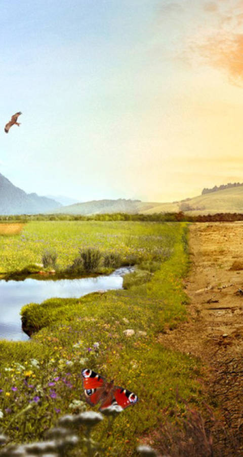 Teaser Biodiversitätsinitiative