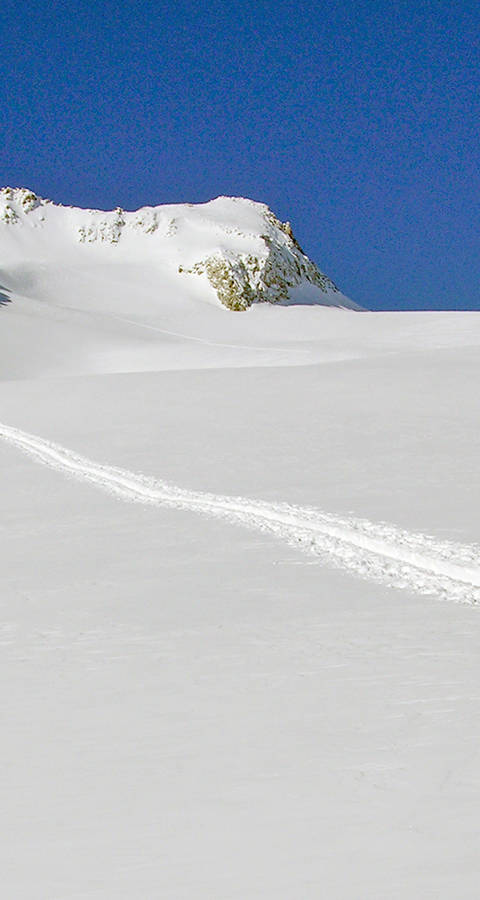 Randonneuse à ski