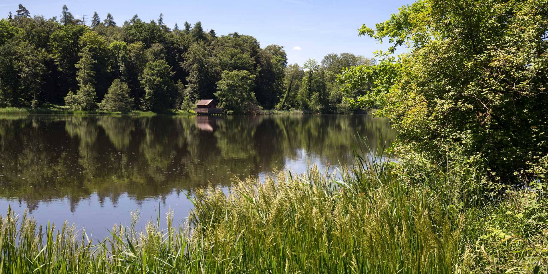 Umgebung Neuwilen Infrastruktur