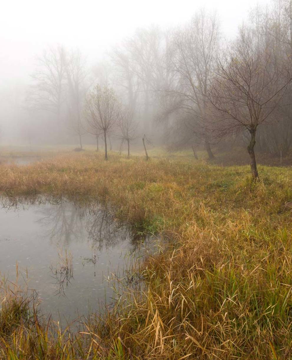 Pro Natura hat 2004 neue Seitenarme angelegt, damit die Reuss die Flussaue wieder selber gestalten und die Lebensräume für Tiere und Pflanzen ständig erneuern kann.