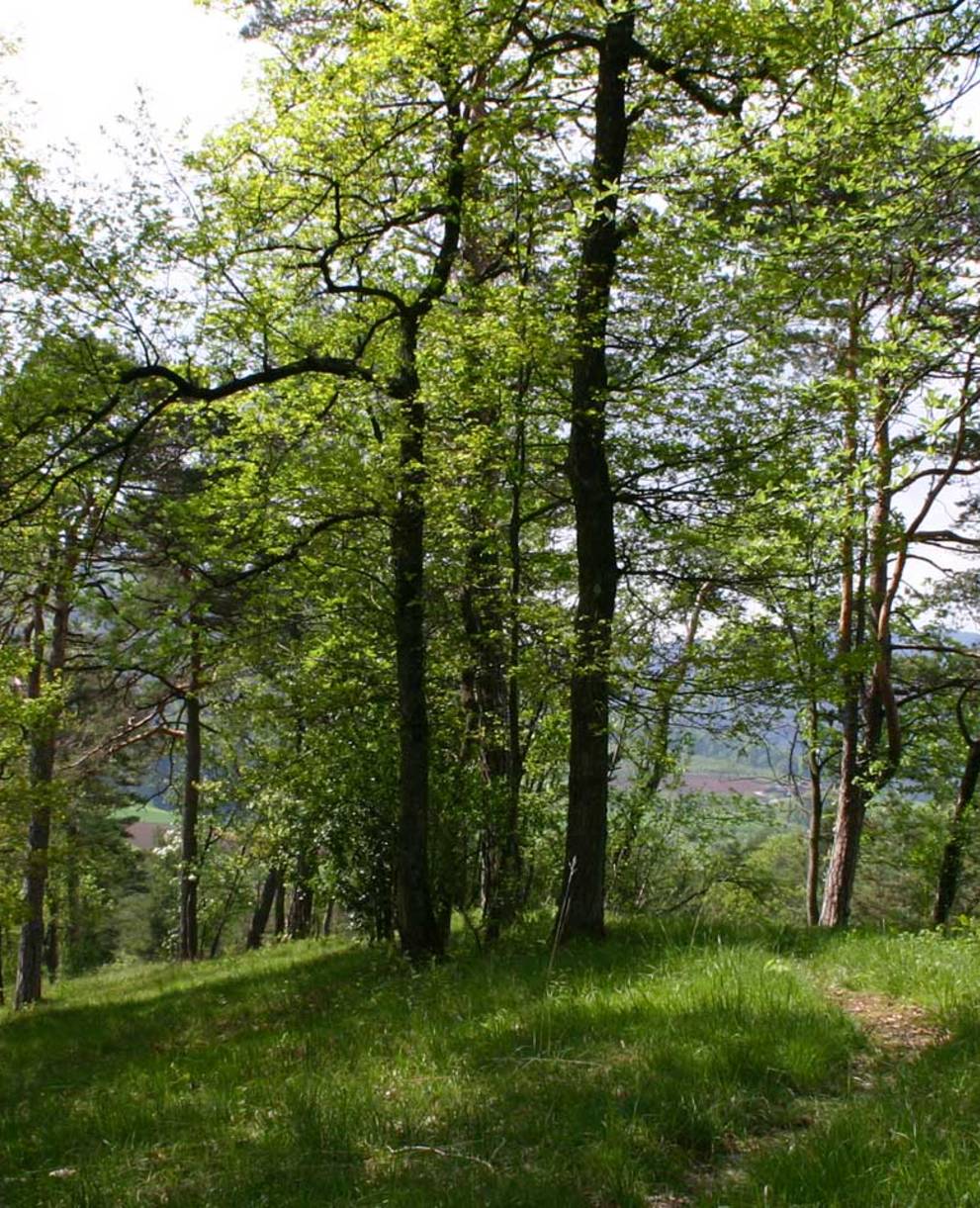 Naturschutzgebiet Chilpen