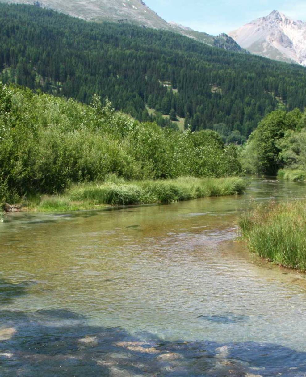 Paysages alluviaux du Rom (GR)