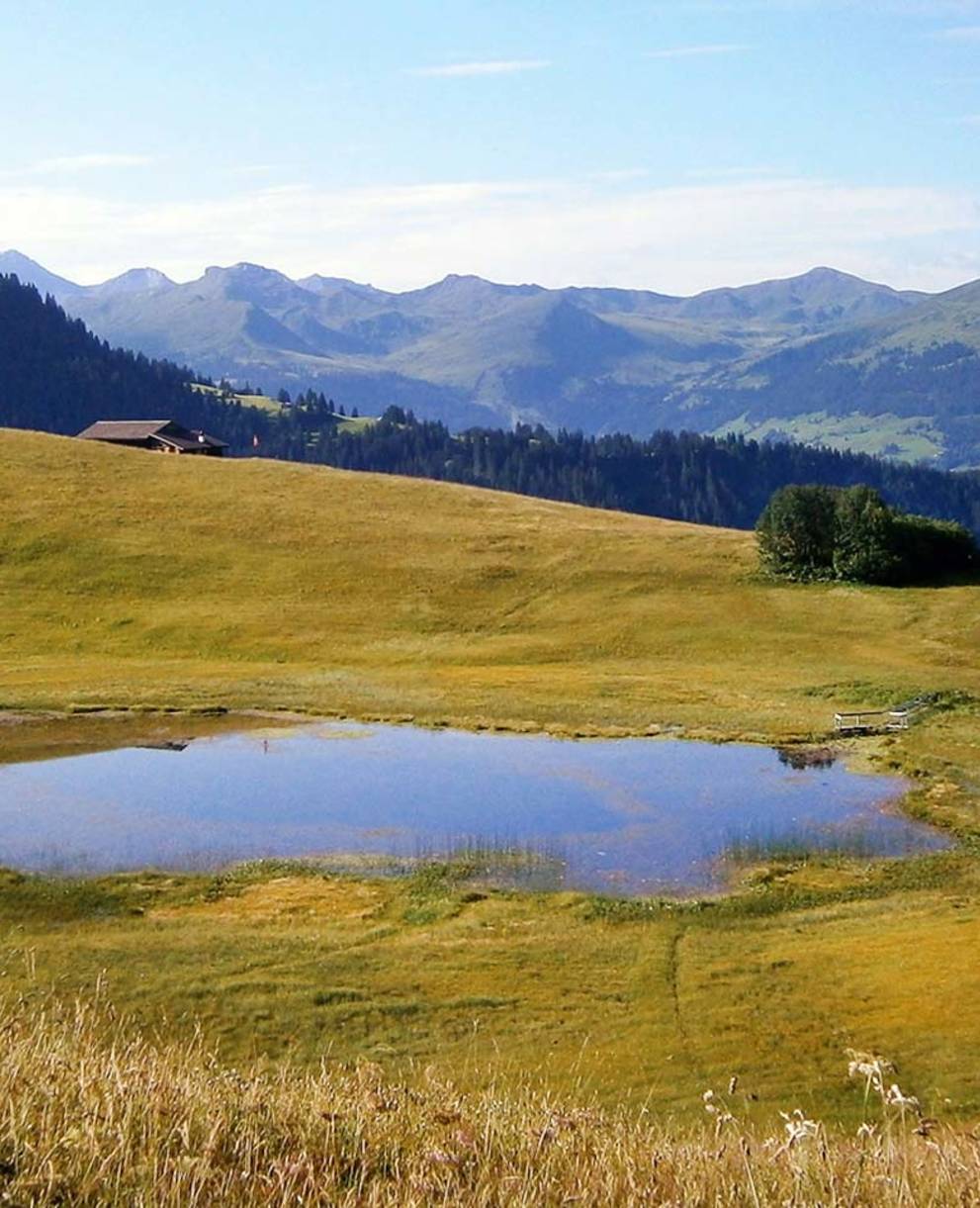 Stelsersee in Geländemulde @ Pro Natura Graubünden