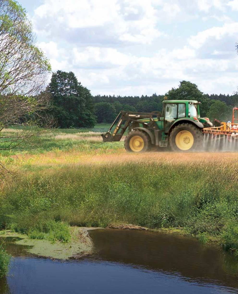 Champ traité au glyphosate au printemps