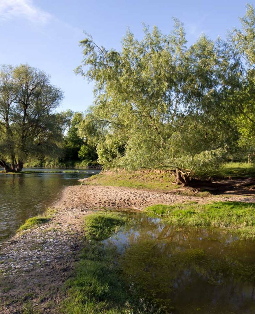 Naturschutzgebiet Limmatspitz (AG)