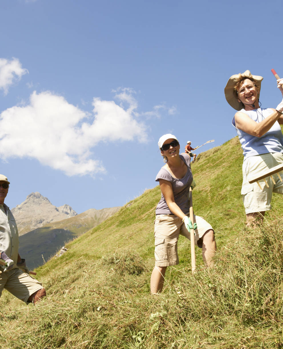 Wildheuen auf der Alp Flix GR