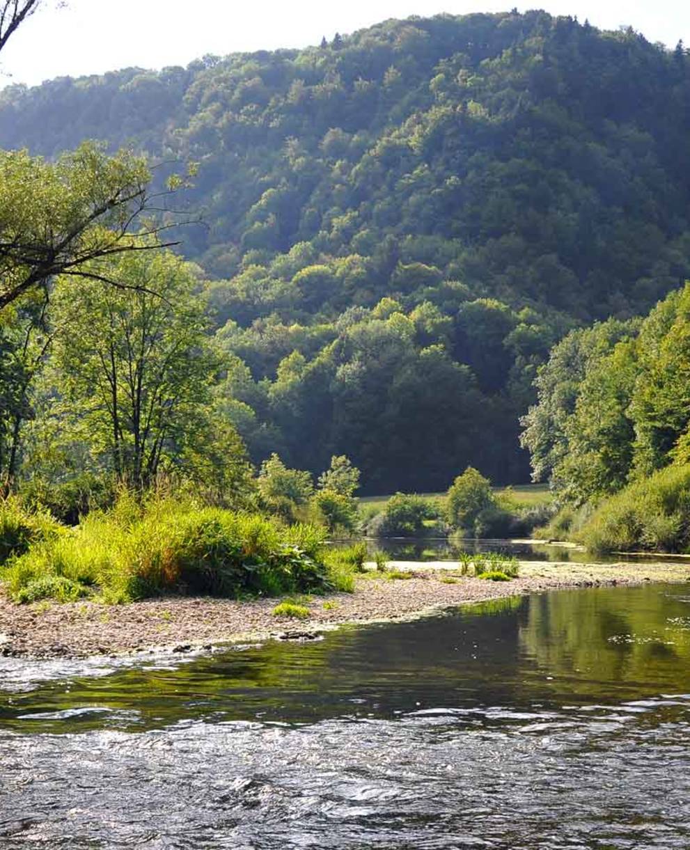 Der Doubs bei Clairbié