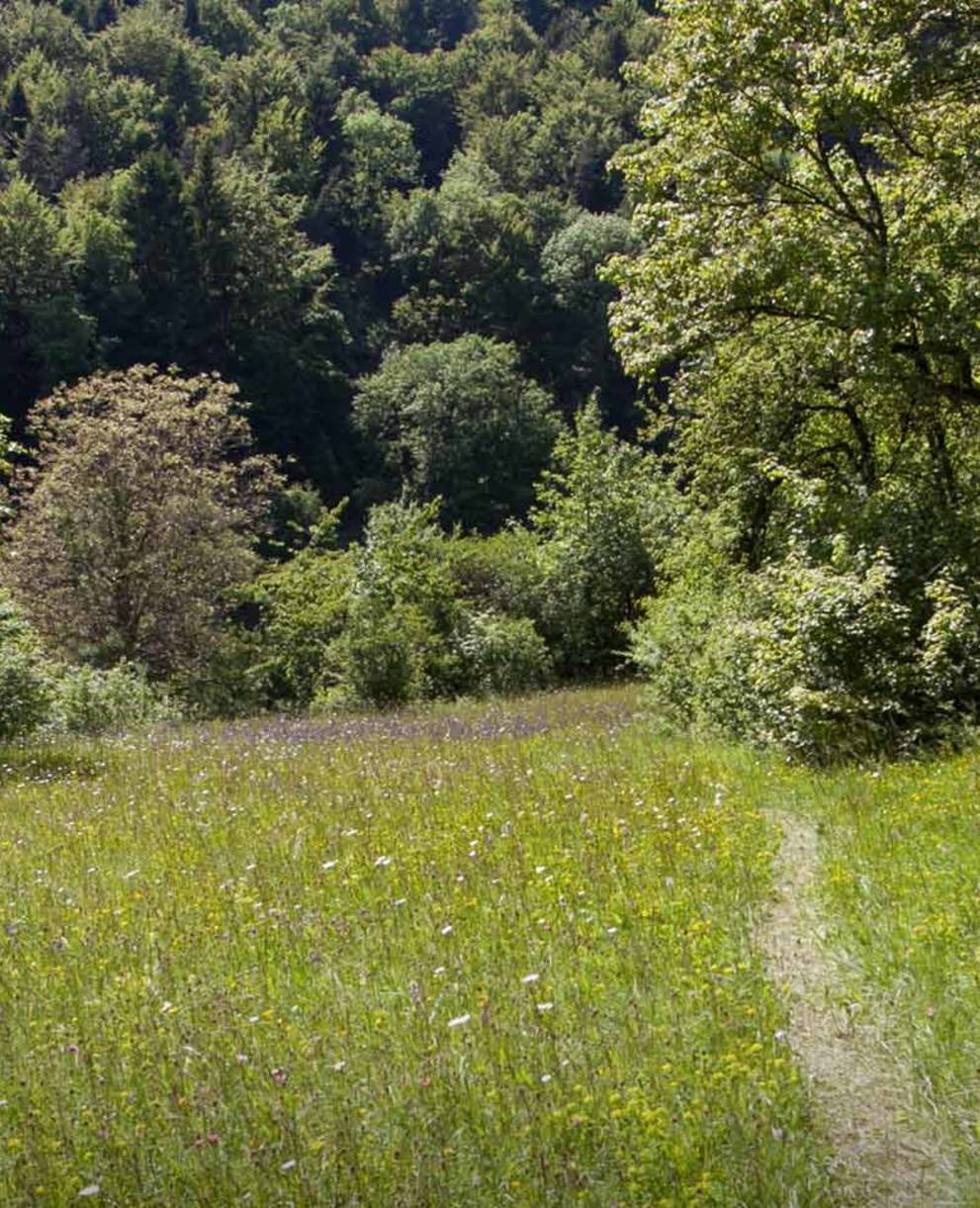 Prairies du Laadel