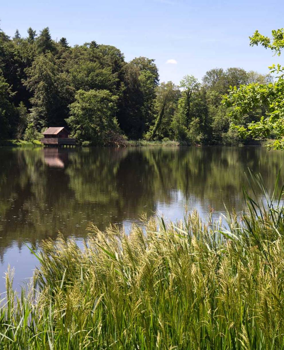 Lengwiler Weiher