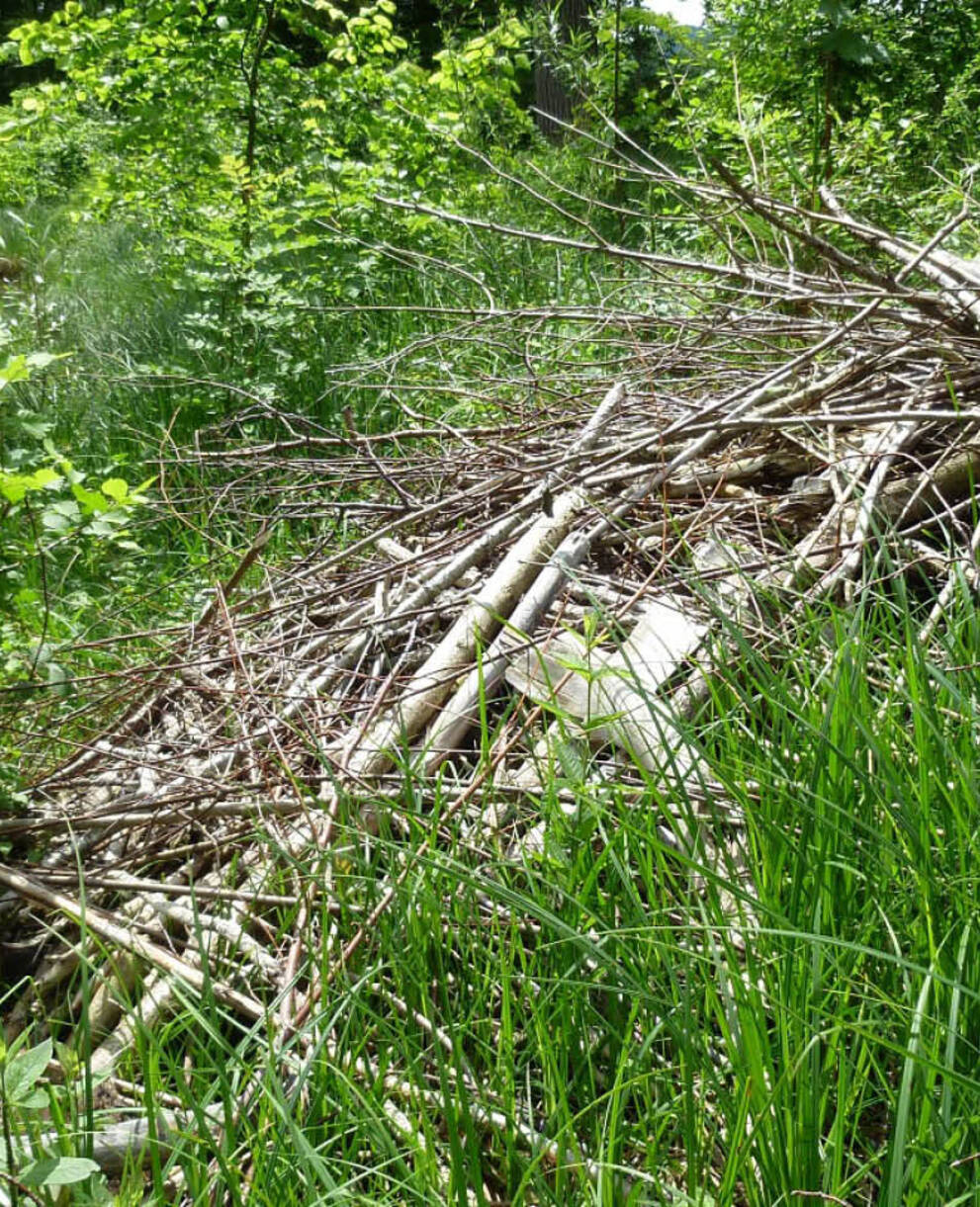 Bibermittelbau in der Belpau
