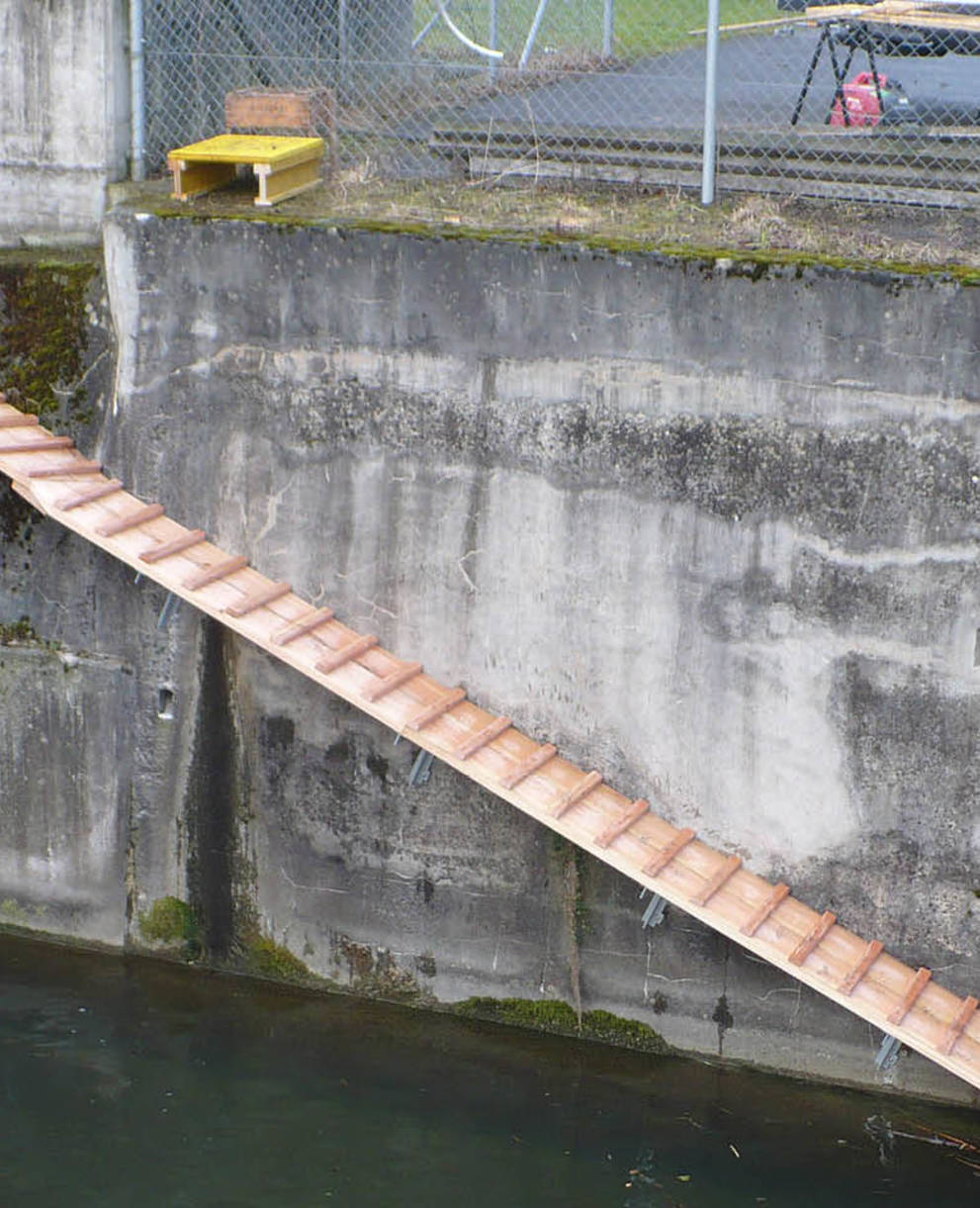 Bibertreppe in Cham